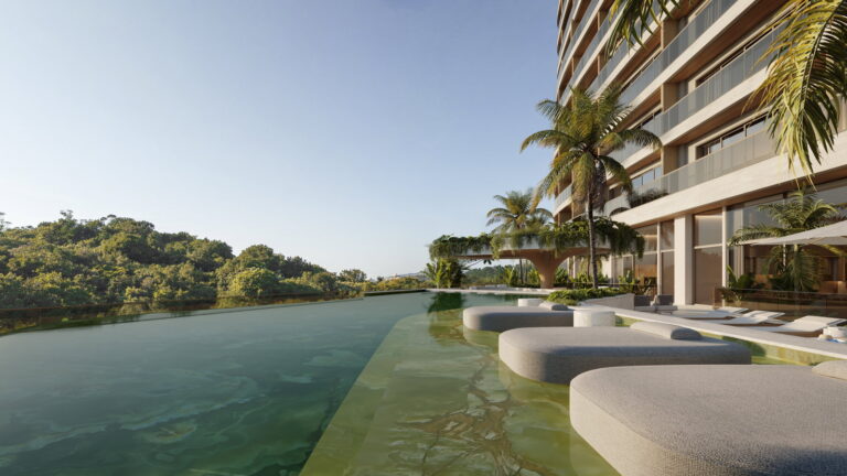 NF Raro By Sierra